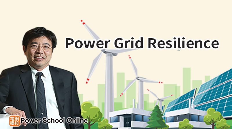 Power Grid Resilience