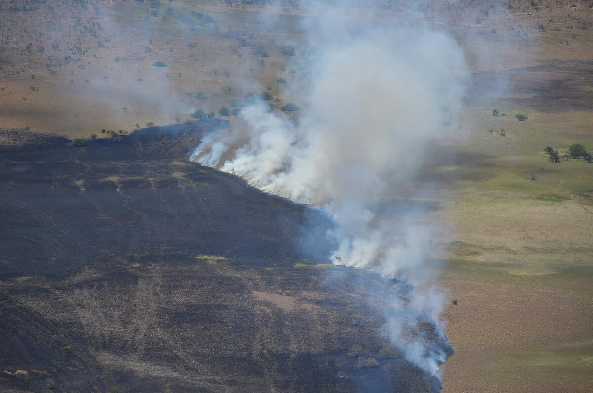綠色和平於亞馬遜森林監測毀林和火災，空拍圖像攝於2022年3月。