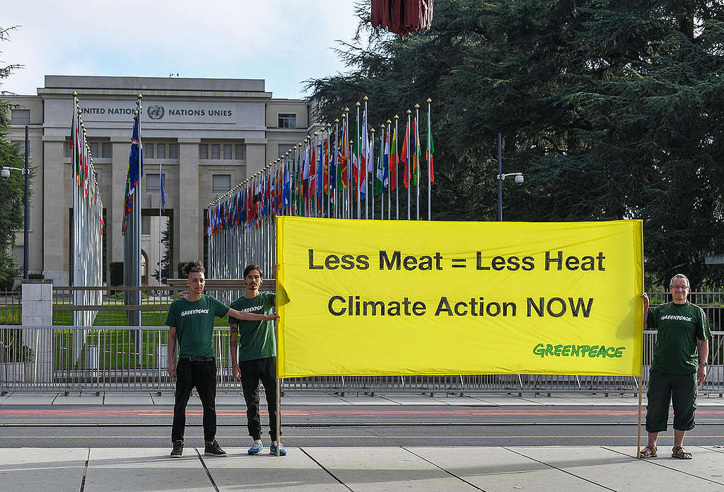 2019年8月，綠色和平行動者於日內瓦舉行的聯合國跨政府氣候變遷會議（IPCC）外，拉起布條呼籲「少肉食，減暖化」（Less Meat, Less Heat），要求各國政府現在就為氣候做出行動。 © Greenpeace / Demir Sönmez