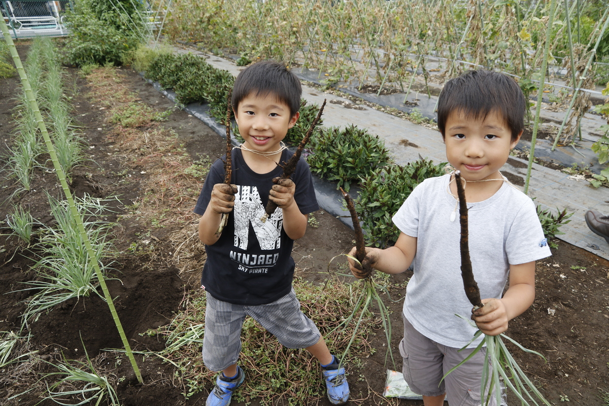 東京有機農場，孩童參與收成農作物，從小培養更友善對待糧食和土地的觀念。