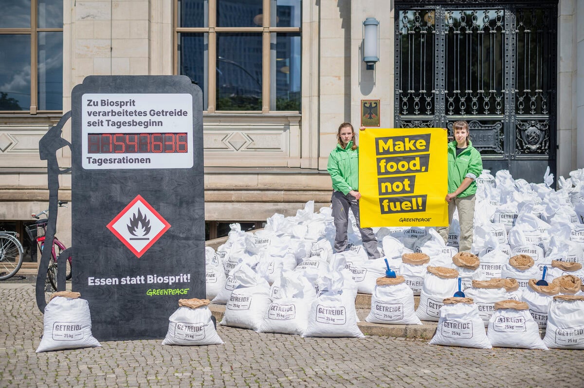 2022年6月，綠色和平行動者在柏林的聯邦政府交通部前表達訴求。182袋25公斤的小麥代表德國每分鐘用於燃料的穀物量。行動者手持標語寫著：「製造食物，不是燃料！」