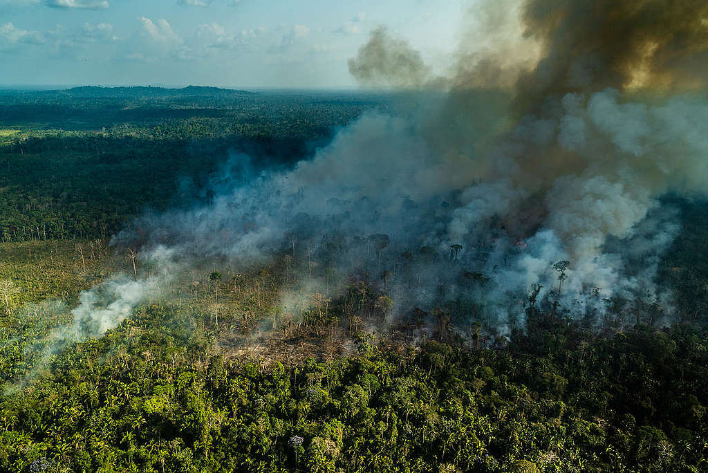 2019年綠色和平調查團隊空拍亞馬遜帕拉州森林大火情況。 © Fábio Nascimento / Greenpeace